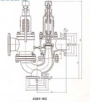 Structure of Twin Spring Safety Valve